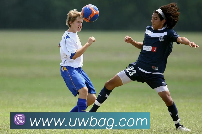 多媒体互动体验